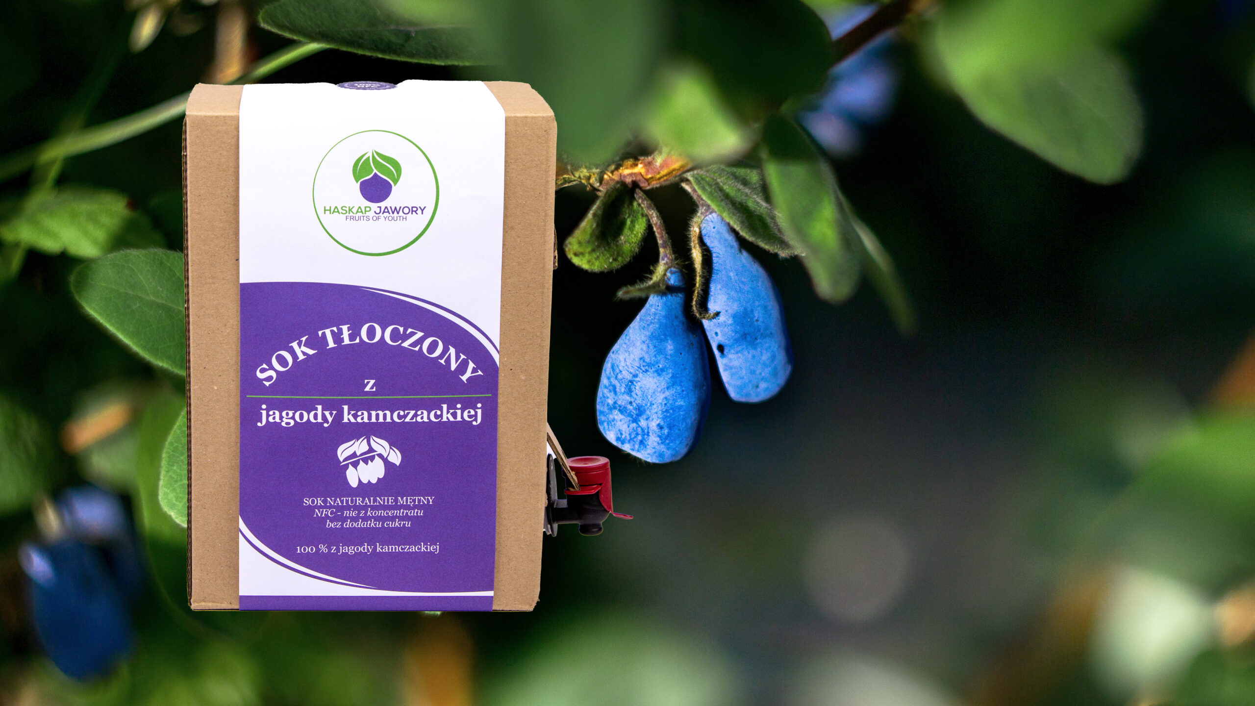 sok sok z jagody kamczackiej